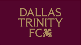 Dallas Trinity logo